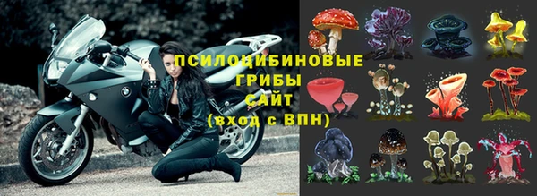 хмурый Куйбышев