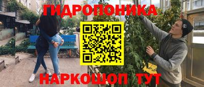 крисы Жуковский
