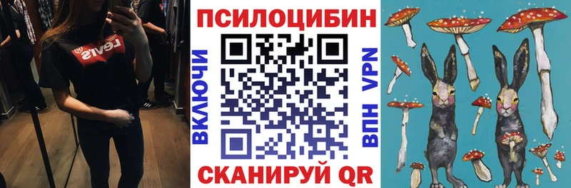 купить наркотики цена Кувандык OMG ТОР Псилоцибиновые грибы MAGIC MUSHROOMS