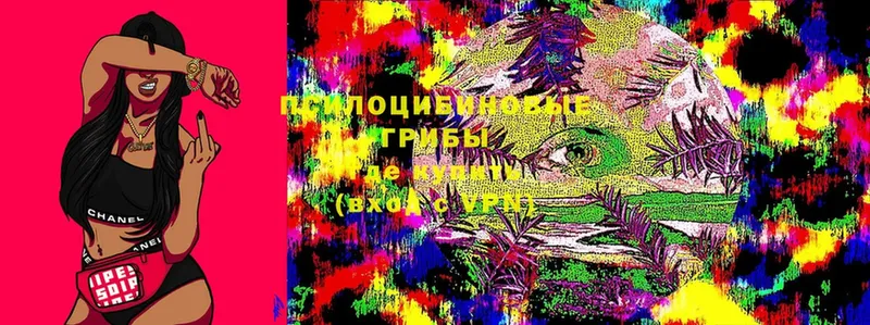 Псилоцибиновые грибы Magic Shrooms  Кувандык 